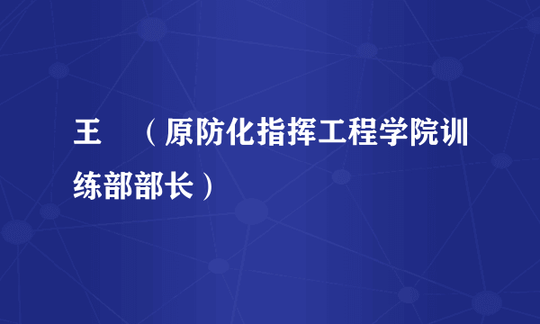 王璟（原防化指挥工程学院训练部部长）