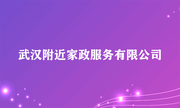 武汉附近家政服务有限公司