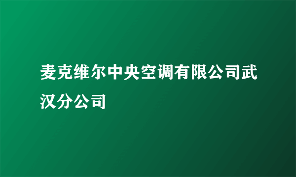 麦克维尔中央空调有限公司武汉分公司