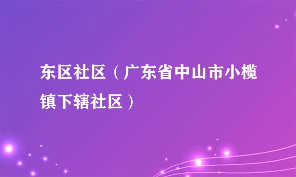 东区社区（广东省中山市小榄镇下辖社区）