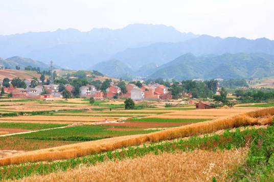 云台山（陕西省蓝田县云台山）