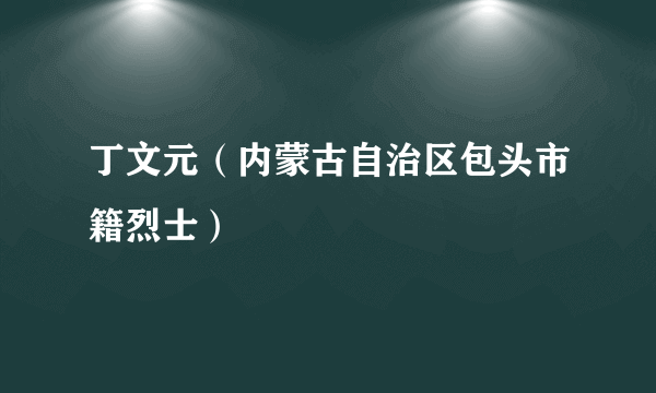 丁文元（内蒙古自治区包头市籍烈士）