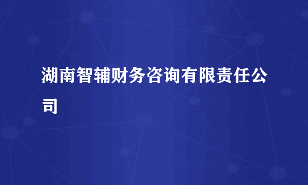 湖南智辅财务咨询有限责任公司