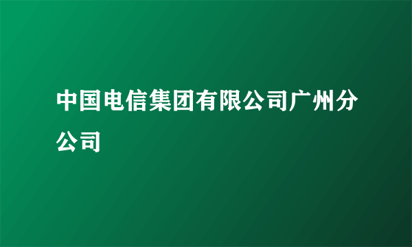 中国电信集团有限公司广州分公司