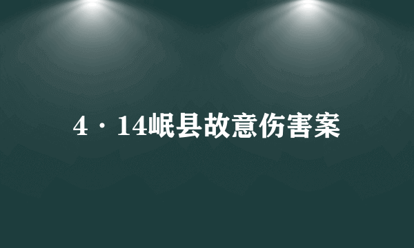 4·14岷县故意伤害案