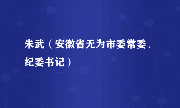 朱武（安徽省无为市委常委、纪委书记）