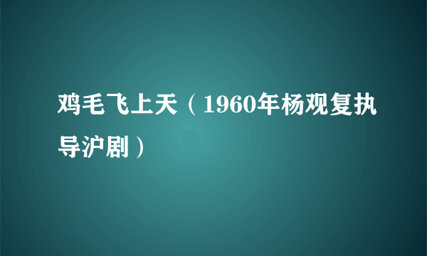 鸡毛飞上天（1960年杨观复执导沪剧）