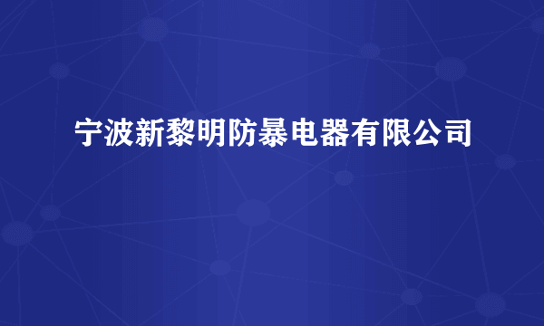 宁波新黎明防暴电器有限公司