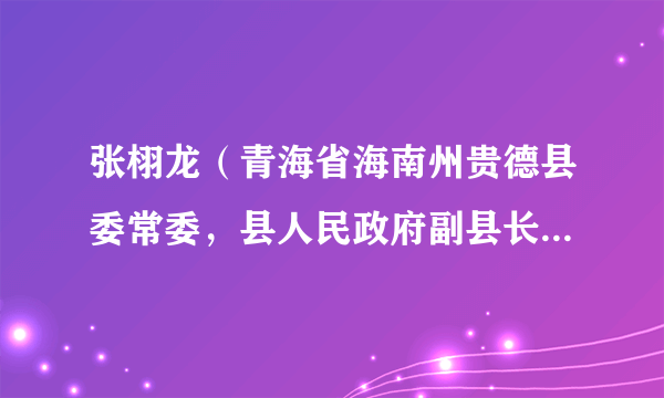 张栩龙（青海省海南州贵德县委常委，县人民政府副县长、党组成员）