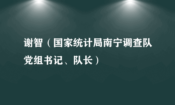 谢智（国家统计局南宁调查队党组书记、队长）