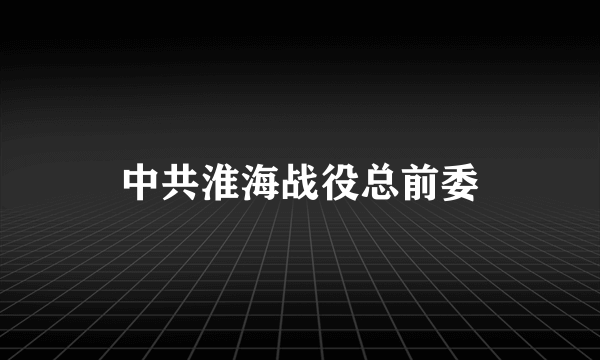 中共淮海战役总前委