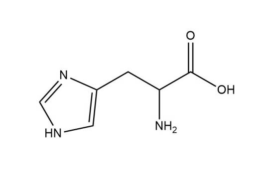 组氨酸