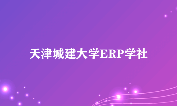 天津城建大学ERP学社