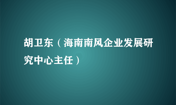 胡卫东（海南南风企业发展研究中心主任）