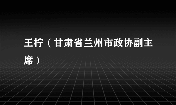 王柠（甘肃省兰州市政协副主席）