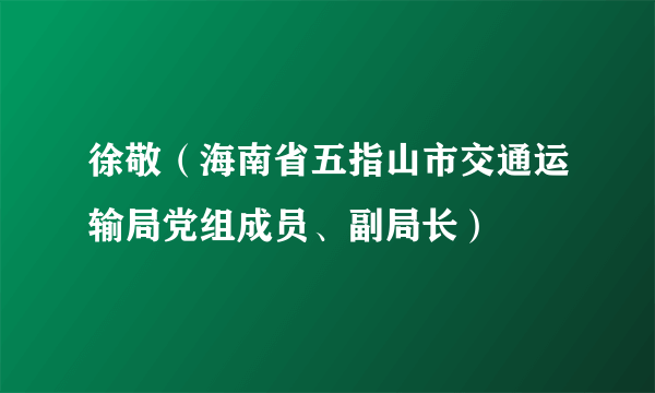 徐敬（海南省五指山市交通运输局党组成员、副局长）