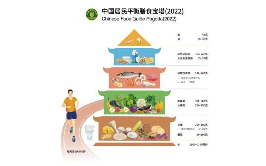 中国居民平衡膳食宝塔