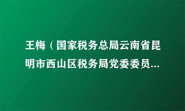 王梅（国家税务总局云南省昆明市西山区税务局党委委员、副局长）