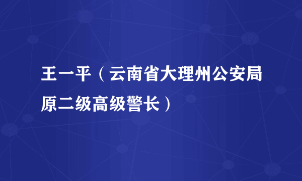 王一平（云南省大理州公安局原二级高级警长）