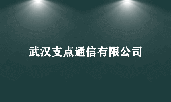 武汉支点通信有限公司