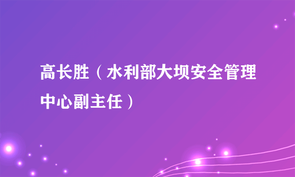 高长胜（水利部大坝安全管理中心副主任）