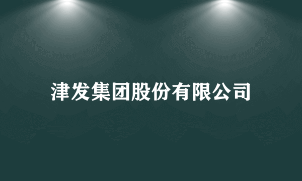 津发集团股份有限公司