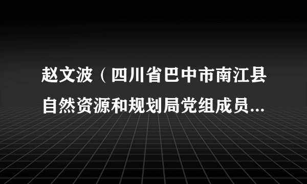 赵文波（四川省巴中市南江县自然资源和规划局党组成员，副局长）