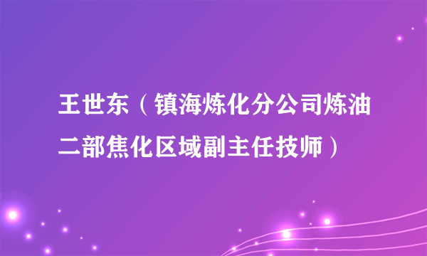 王世东（镇海炼化分公司炼油二部焦化区域副主任技师）