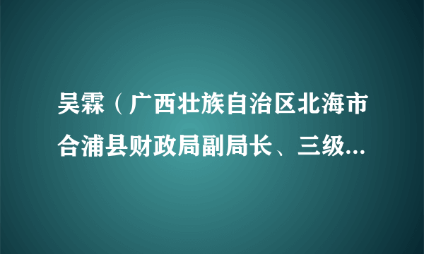 吴霖（广西壮族自治区北海市合浦县财政局副局长、三级主任科员）