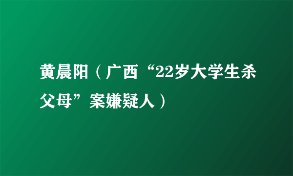 黄晨阳（广西“22岁大学生杀父母”案嫌疑人）