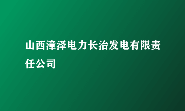 山西漳泽电力长治发电有限责任公司