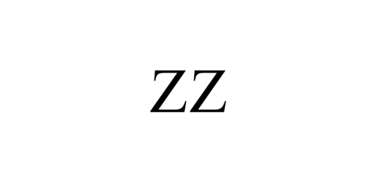 ZZ（两面防尘盖）