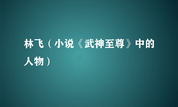 林飞（小说《武神至尊》中的人物）