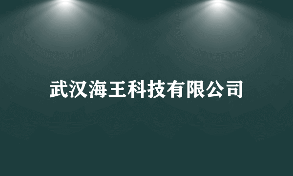 武汉海王科技有限公司