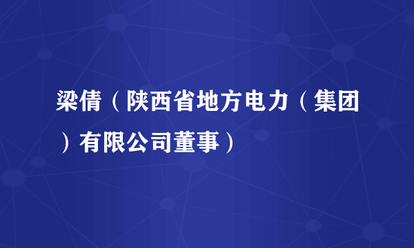 梁倩（陕西省地方电力（集团）有限公司董事）