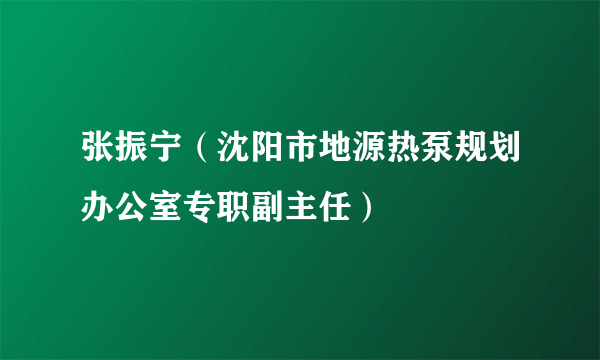 张振宁（沈阳市地源热泵规划办公室专职副主任）