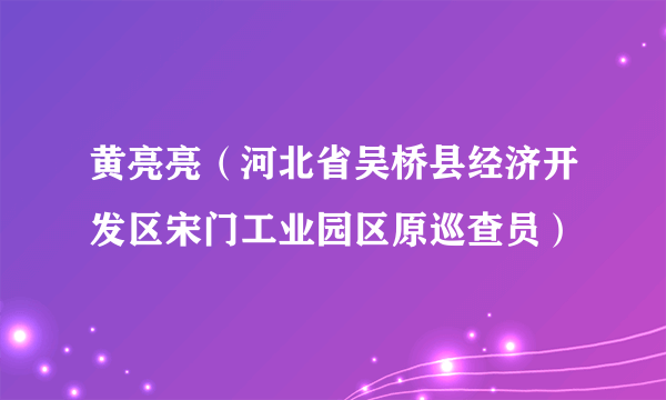 黄亮亮（河北省吴桥县经济开发区宋门工业园区原巡查员）