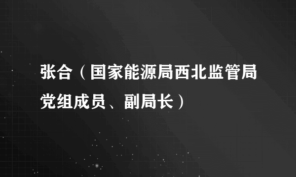 张合（国家能源局西北监管局党组成员、副局长）