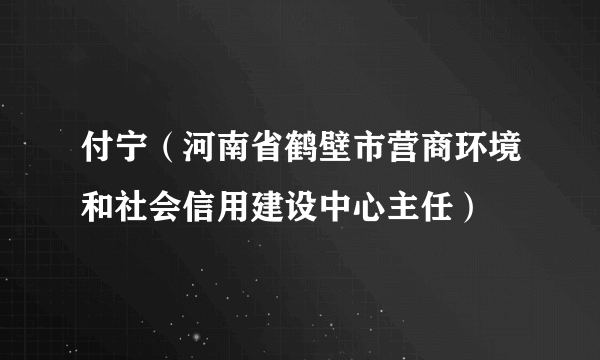 付宁（河南省鹤壁市营商环境和社会信用建设中心主任）