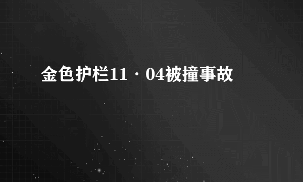 金色护栏11·04被撞事故