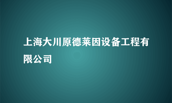 上海大川原德莱因设备工程有限公司