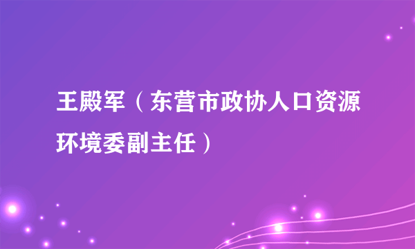 王殿军（东营市政协人口资源环境委副主任）