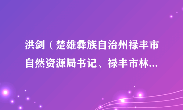 洪剑（楚雄彝族自治州禄丰市自然资源局书记、禄丰市林业和草原局局长）