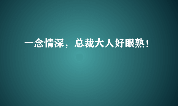 一念情深，总裁大人好眼熟！