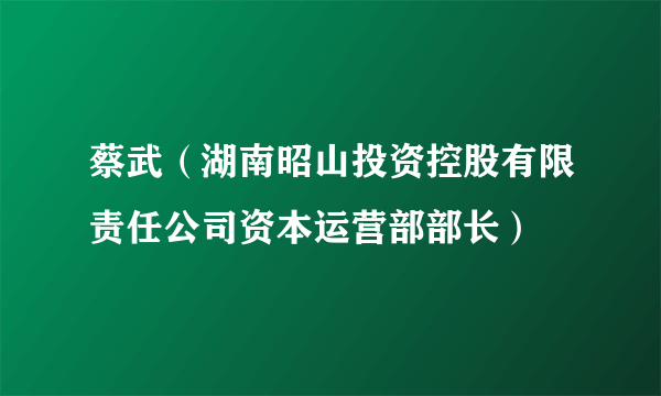 蔡武（湖南昭山投资控股有限责任公司资本运营部部长）