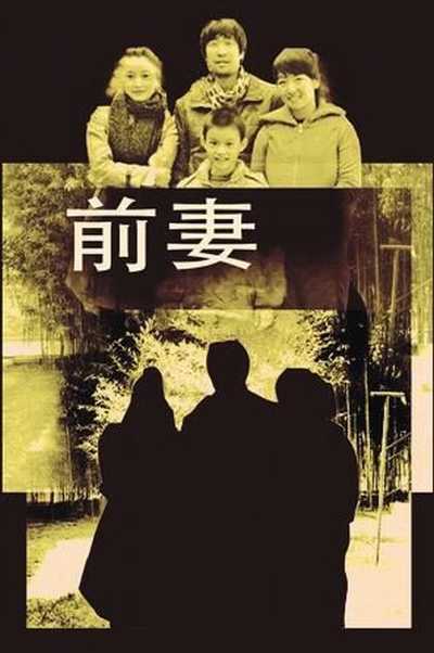 前妻（2009年乔梁执导的电视电影）