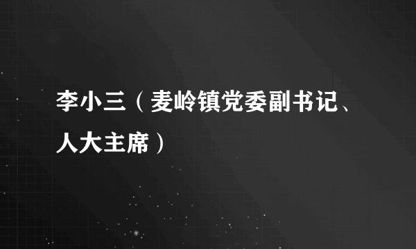 李小三（麦岭镇党委副书记、人大主席）