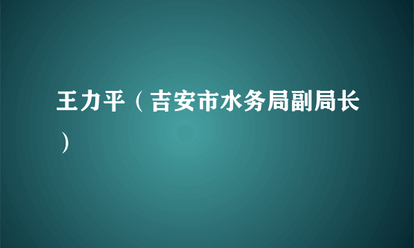 王力平（吉安市水务局副局长）