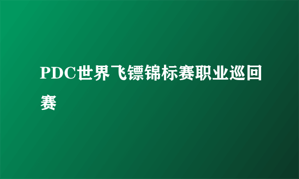 PDC世界飞镖锦标赛职业巡回赛