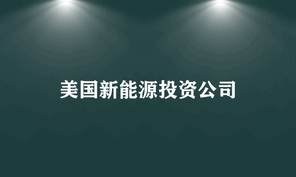 美国新能源投资公司